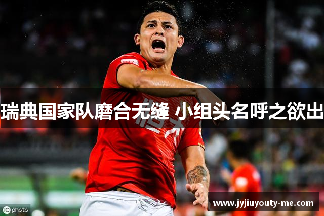 瑞典国家队磨合无缝 小组头名呼之欲出