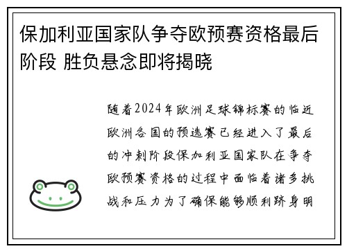 保加利亚国家队争夺欧预赛资格最后阶段 胜负悬念即将揭晓